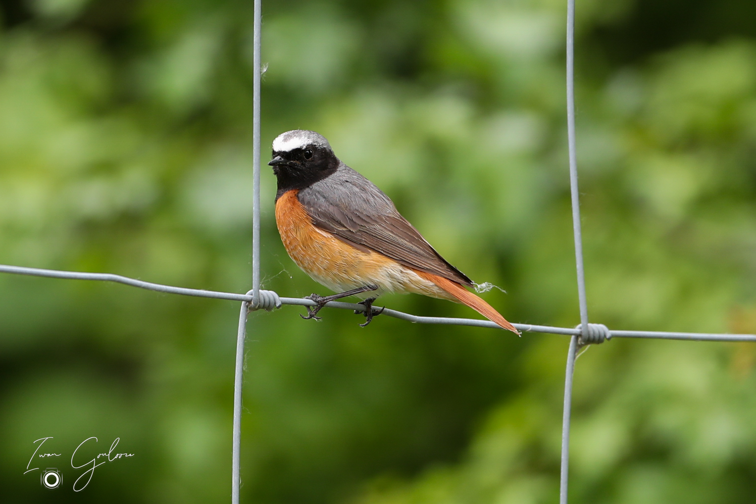 1DX45936 04 juni 2022 1236 43